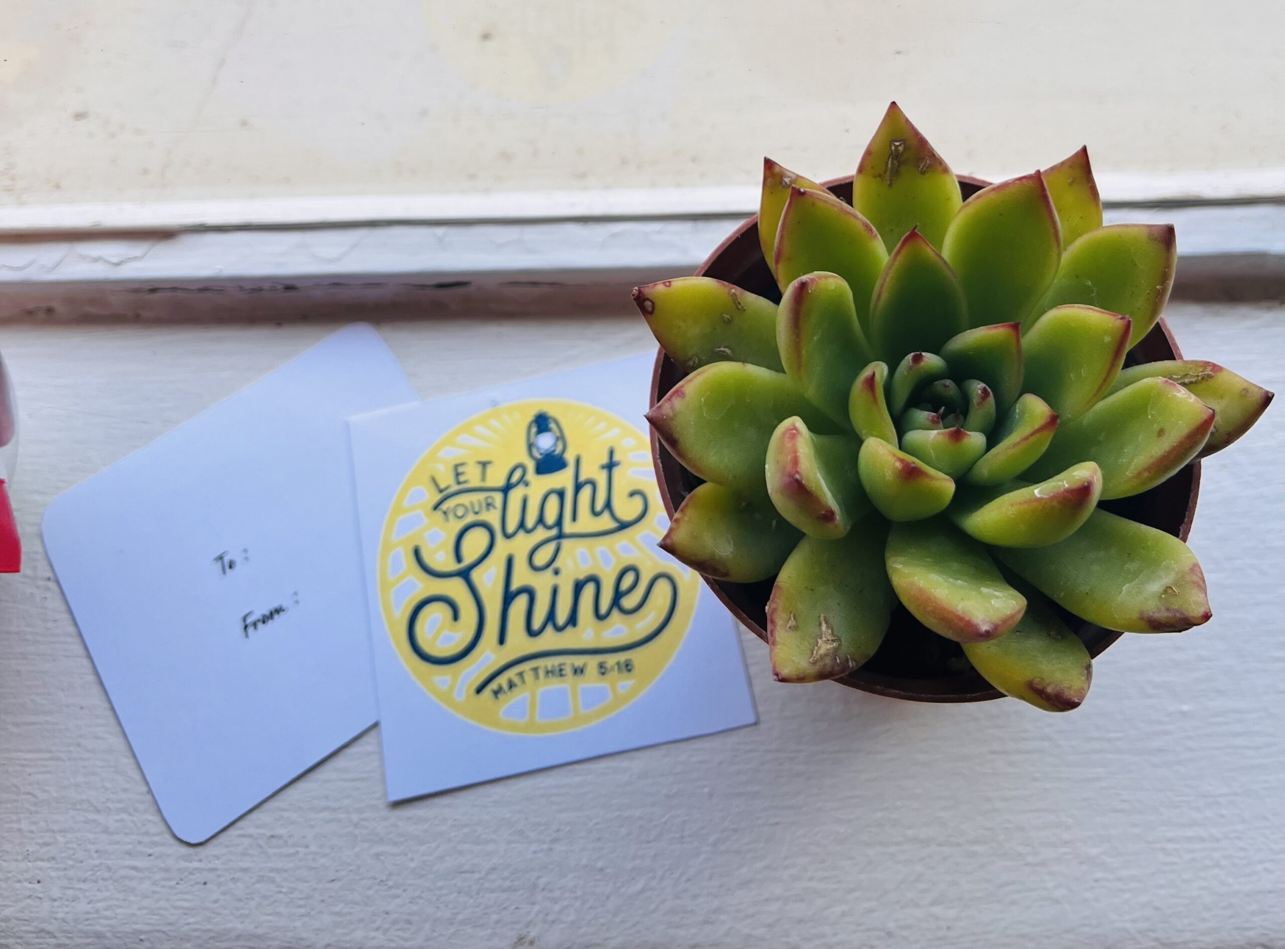 Little Plant Bag of Thoughtfulness - Image 2