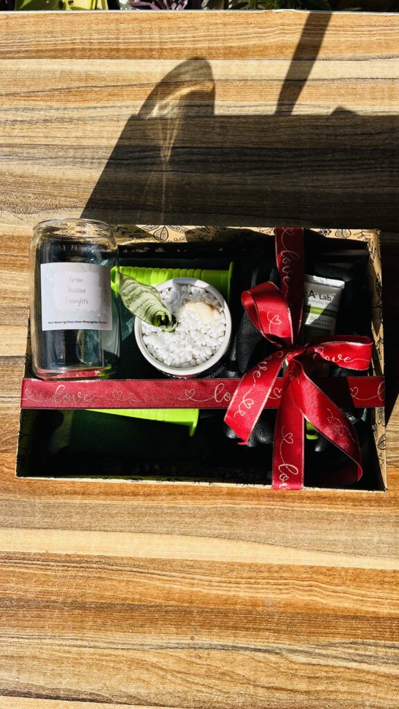 9 Blessed Garden Ultimate Garden Accessories Box