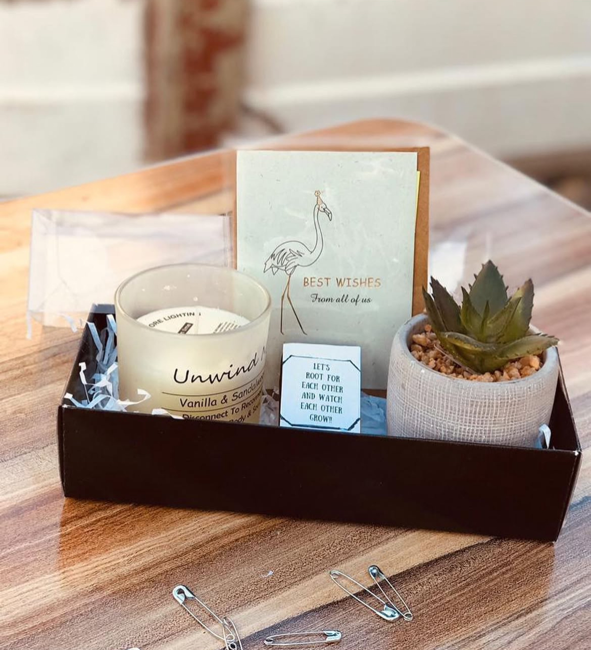 Blessed Garden Plant Gift Sets