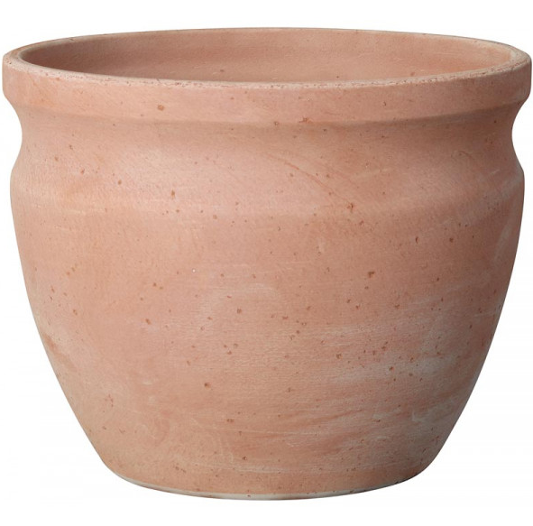 Terracotta Pot