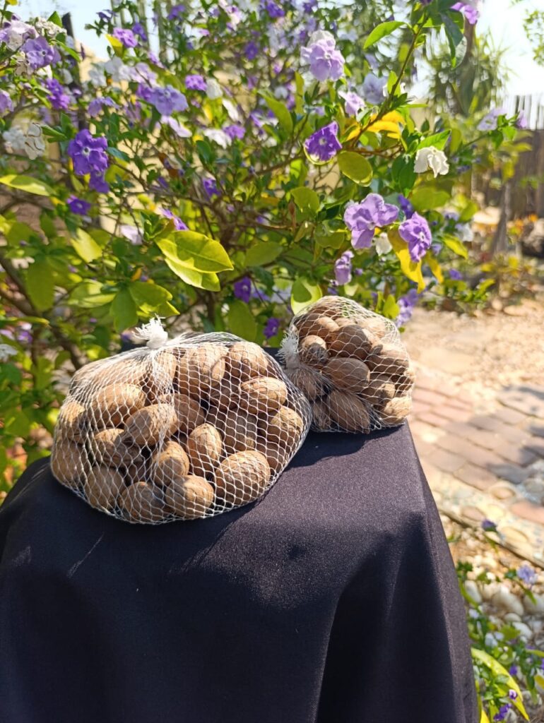 Pecan Nuts 200g