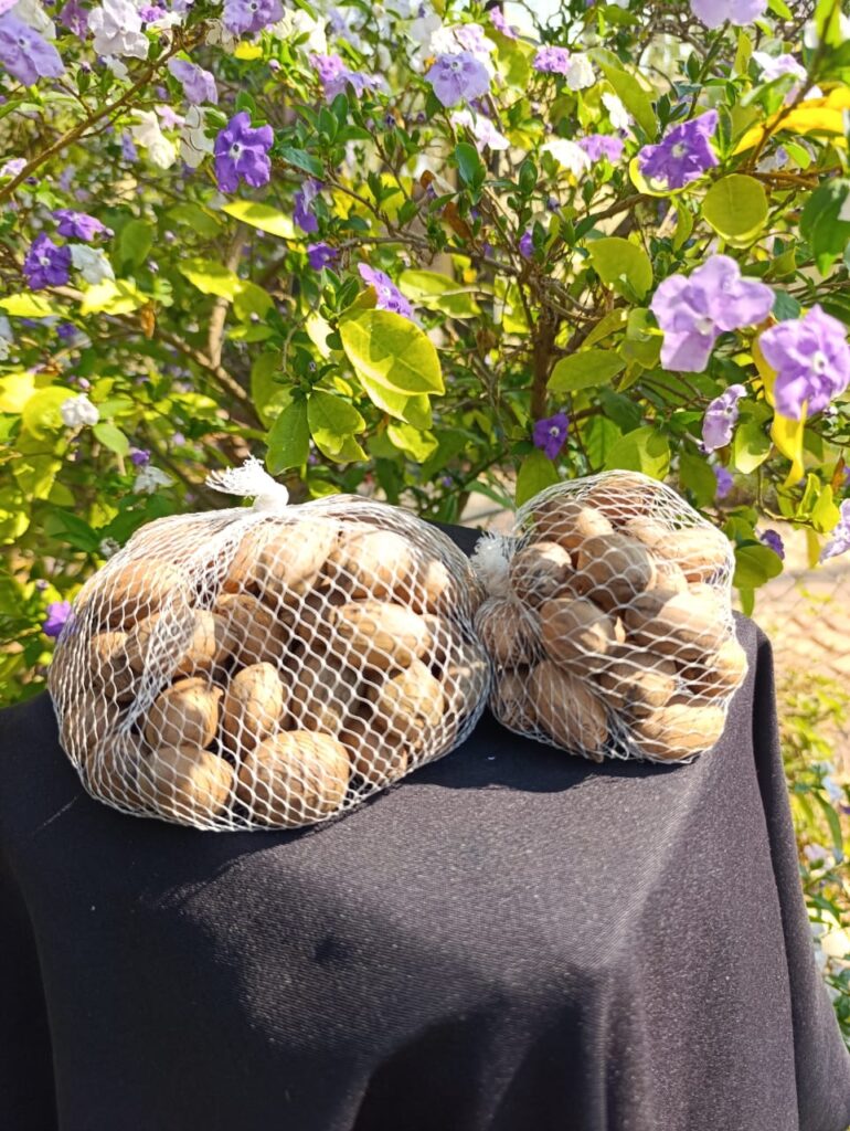 Pecan Nuts