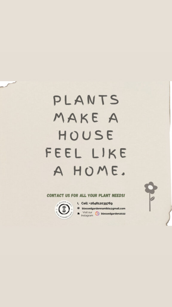 Housewarming gifts Plants make a house feel like a home!